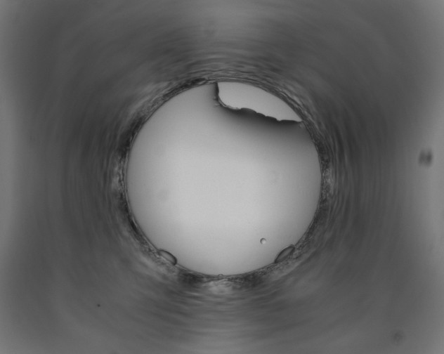 X0000091010423200708021410