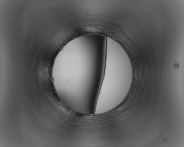 X0000091010424200708021410