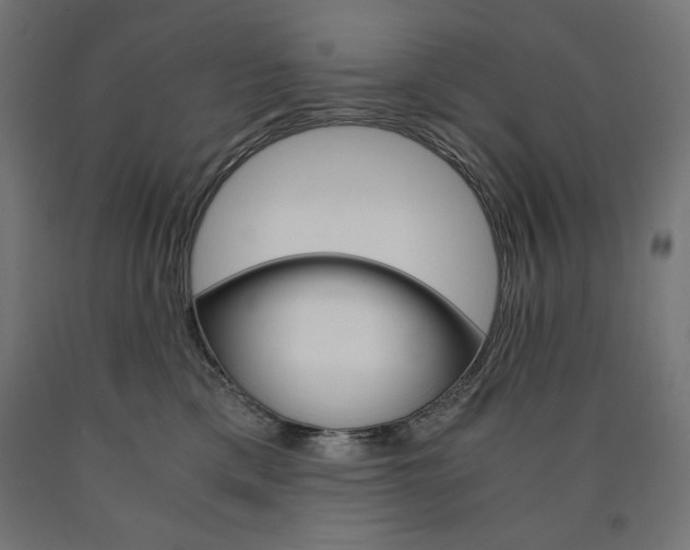 X0000091010425200708021410