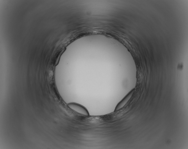 X0000091010427200708021410