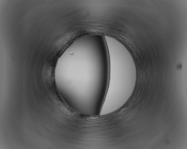 X0000091010428200708021410