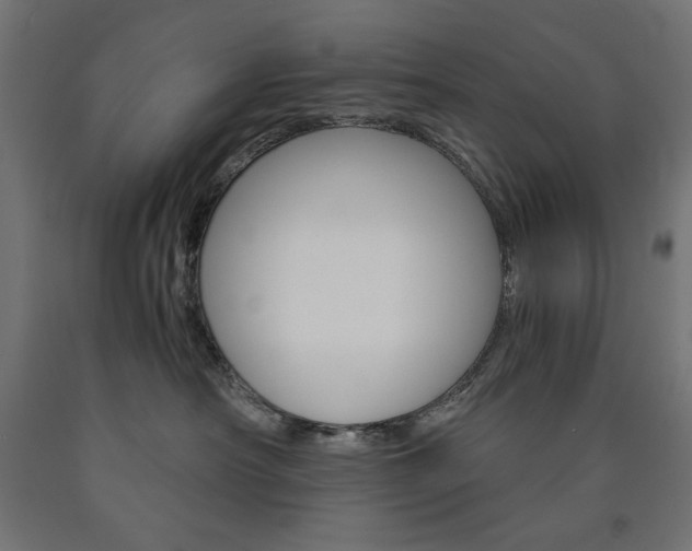 X0000091010430200708021410