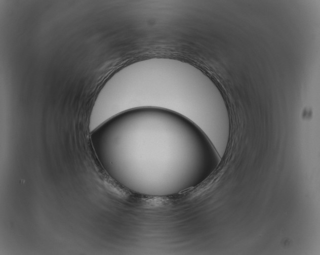 X0000091010432200708021410