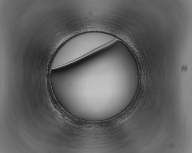 X0000091010434200708021409