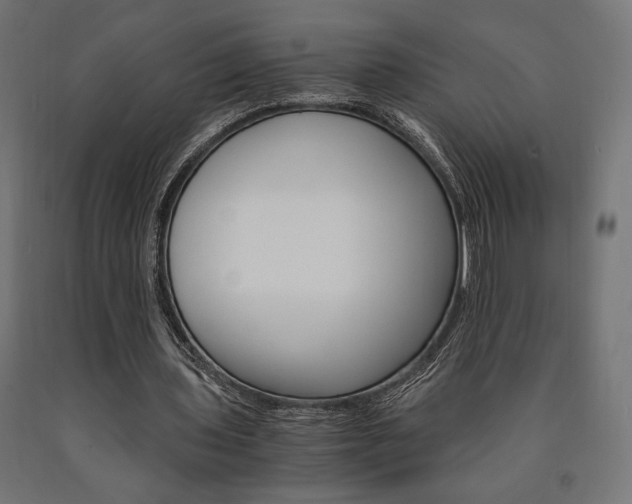 X0000091010435200708021409