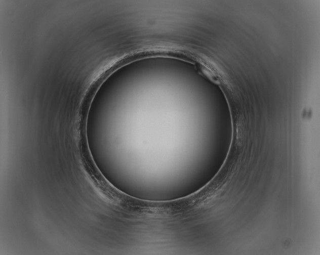 X0000091010436200708021409