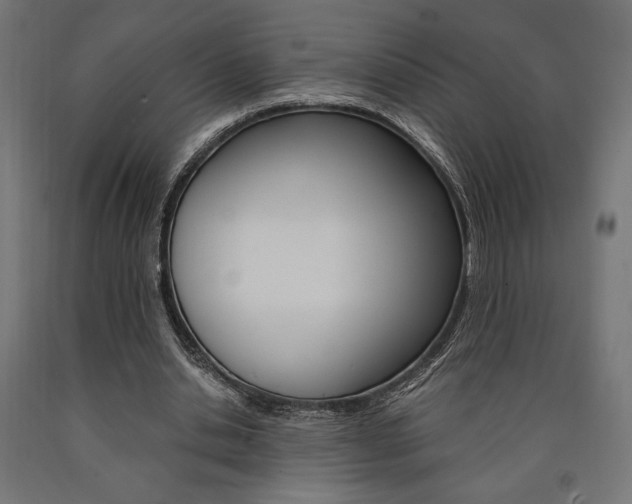 X0000091010438200708021409