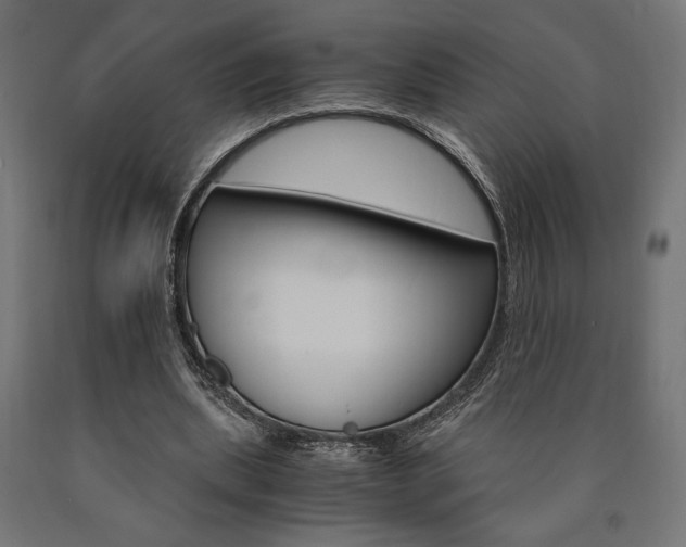 X0000091010439200708021409