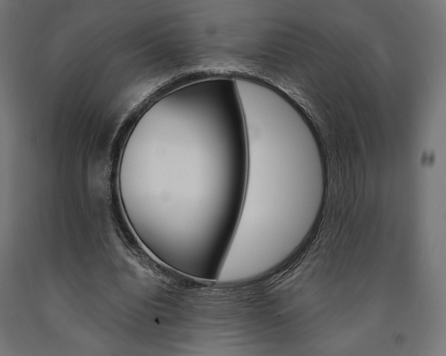 X0000091010440200708021409