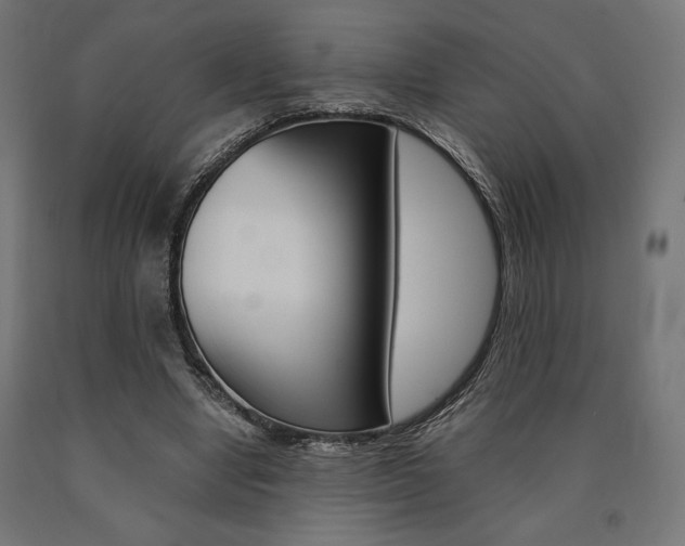 X0000091010442200708021409