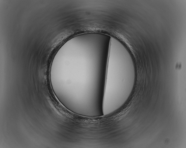 X0000091010443200708021409