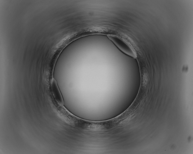 X0000091010444200708021409