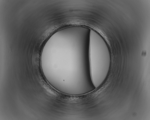 X0000091010445200708021409