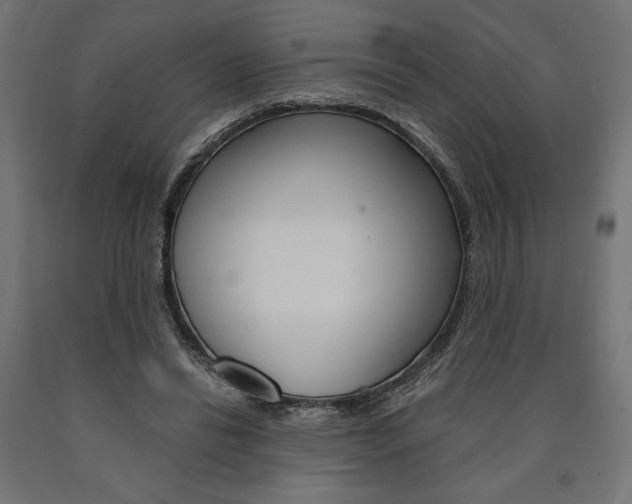 X0000091010446200708021409