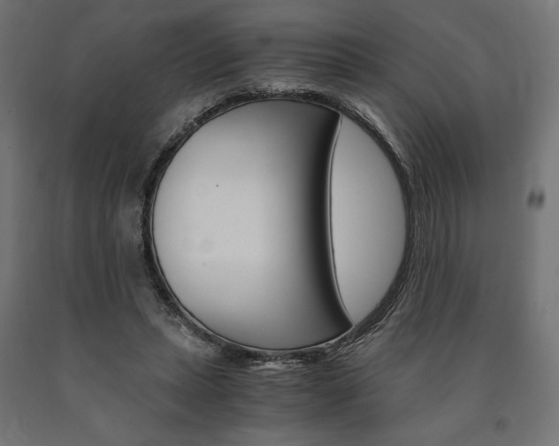 X0000091010447200708021409