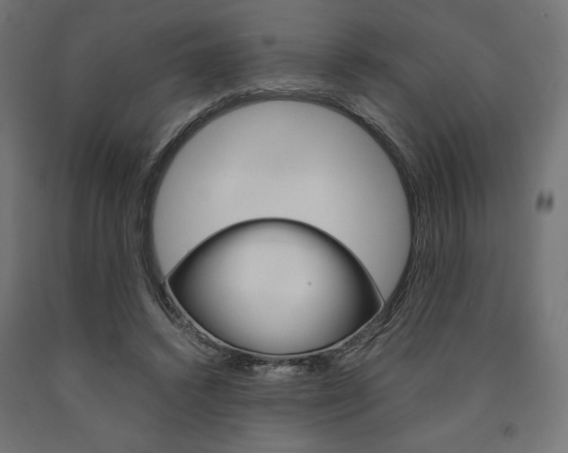 X0000091010448200708021409