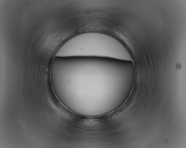 X0000091010451200708021410