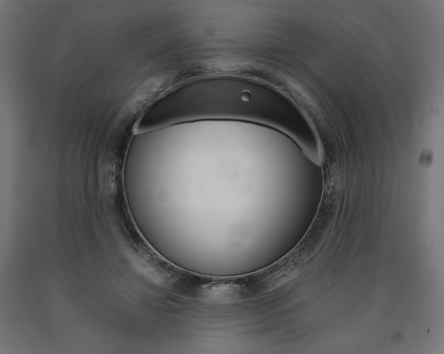 X0000091010452200708021410