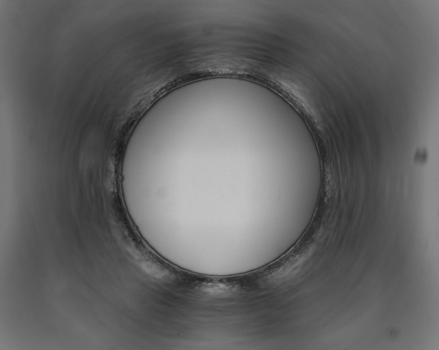 X0000091010453200708021410