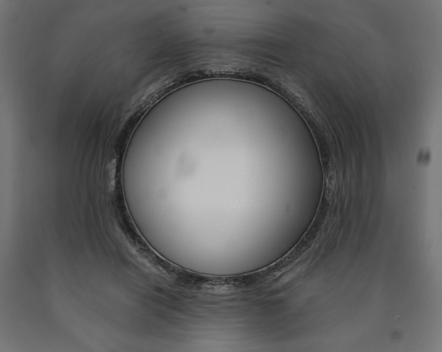 X0000091010454200708021410