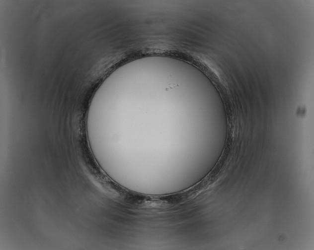X0000091010455200708021410