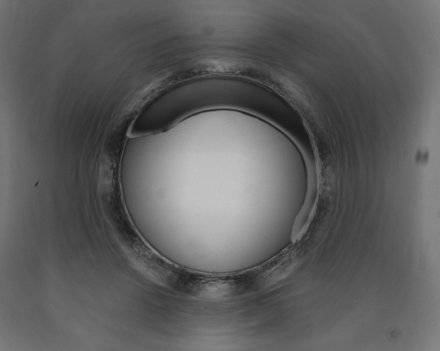 X0000091010456200708021410