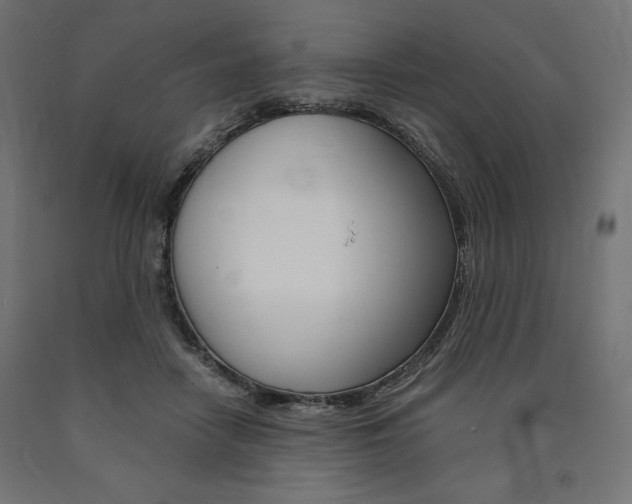 X0000091010458200708021410