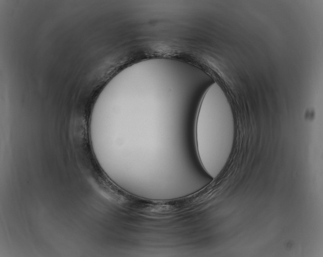 X0000091010459200708021410