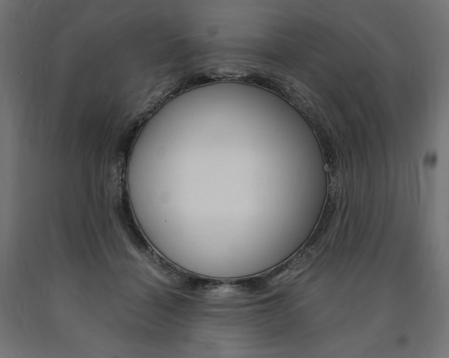 X0000091010460200708021410