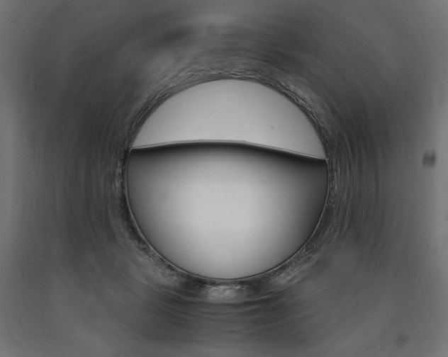 X0000091010461200708021410