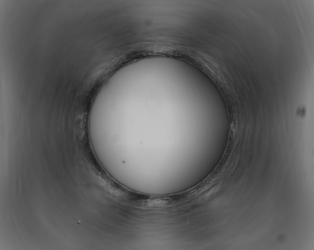 X0000091010462200708021410