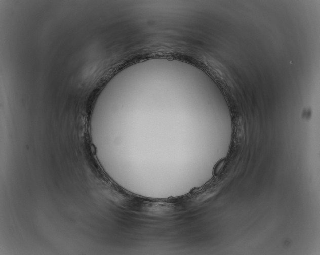 X0000091010463200708021410