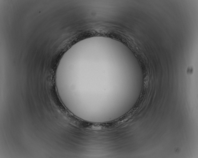 X0000091010464200708021410