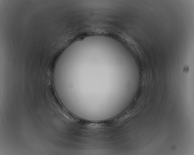 X0000091010465200708021410