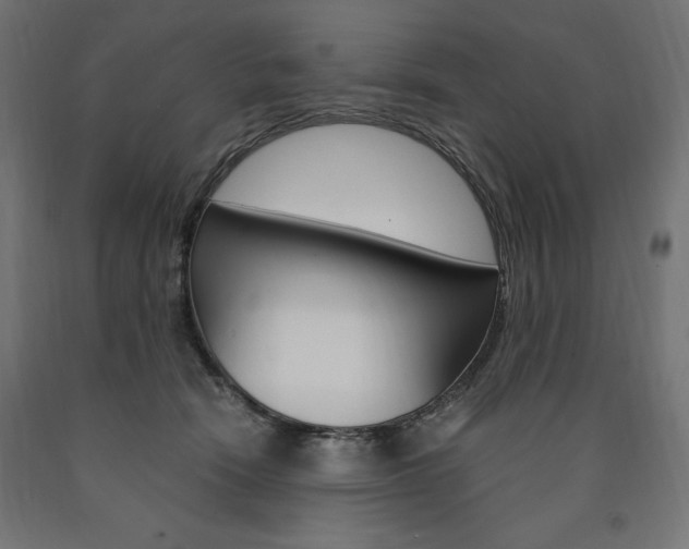 X0000091010466200708021410