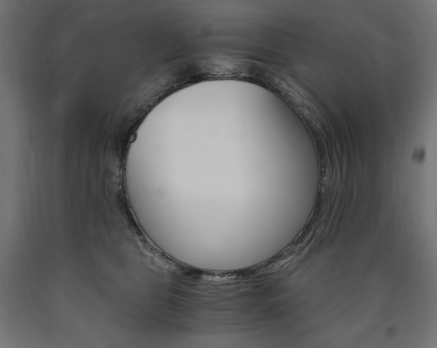X0000091010469200708021410