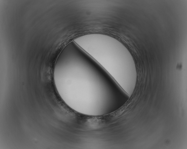 X0000091010470200708021410