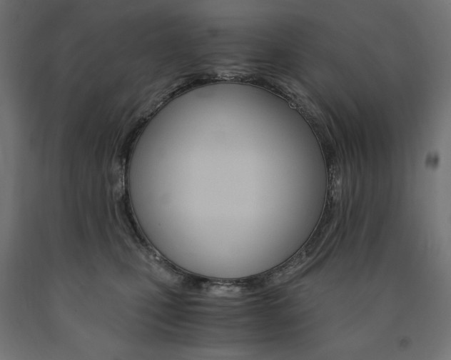 X0000091010471200708021410