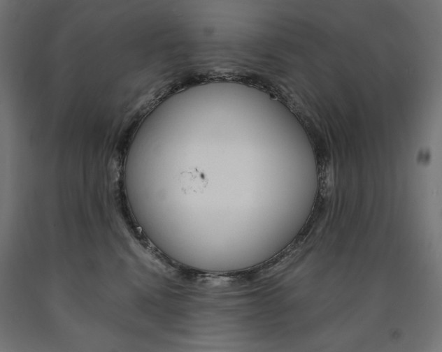 X0000091010472200708021410