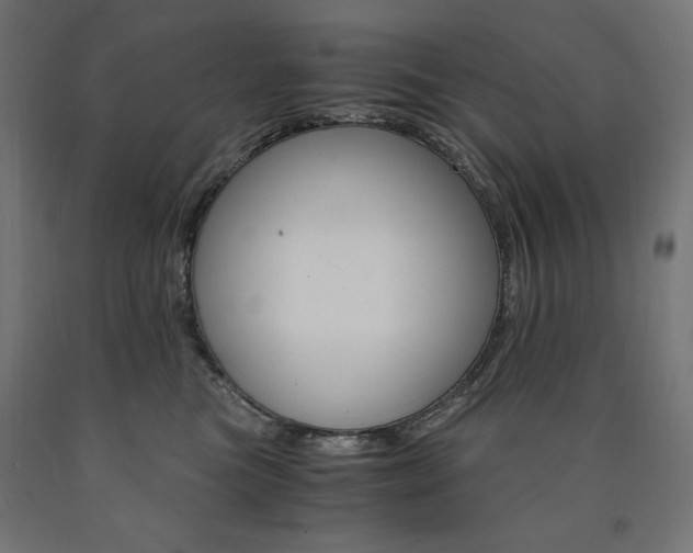 X0000091010473200708021410