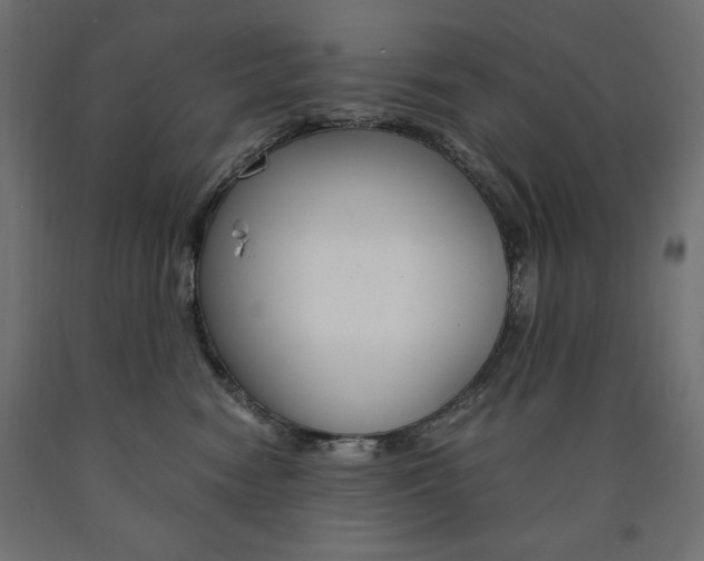 X0000091010474200708021410
