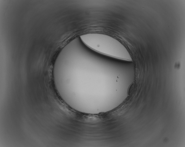 X0000091010475200708021410