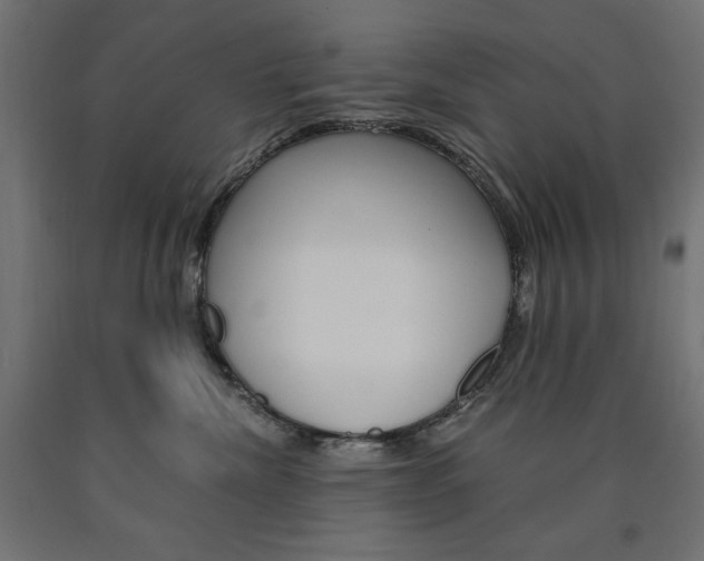 X0000091010476200708021410