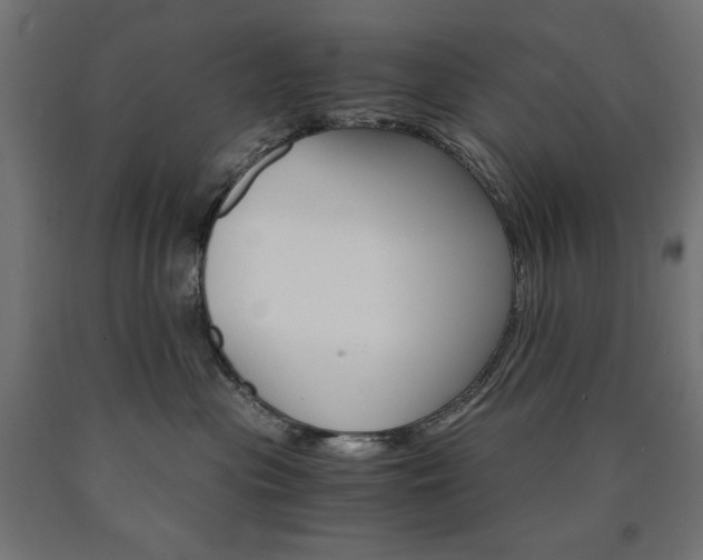 X0000091010477200708021410