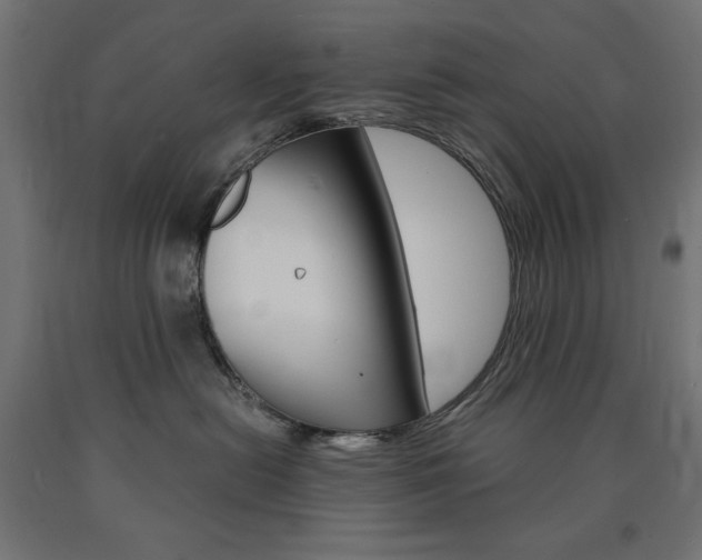 X0000091010478200708021410