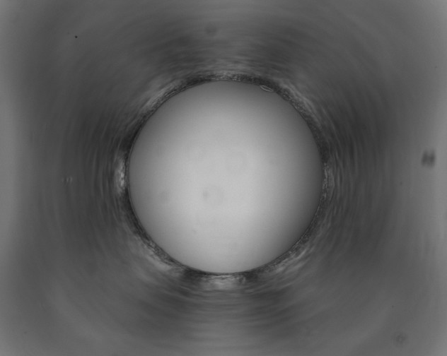 X0000091010479200708021410