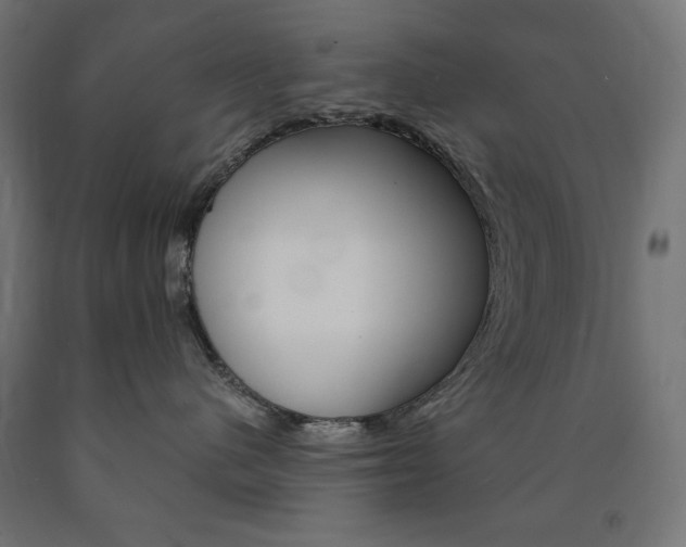 X0000091010480200708021410