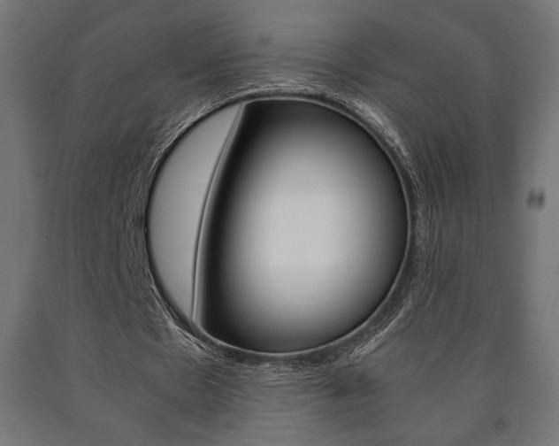 X0000091010481200708021409