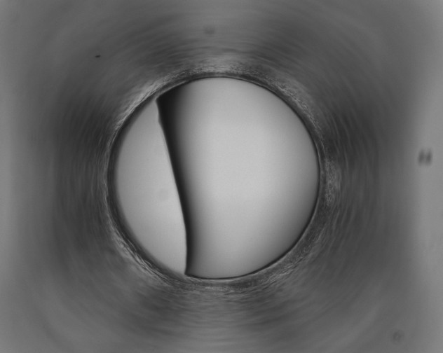 X0000091010482200708021409