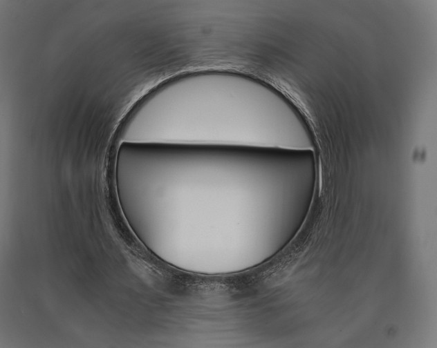 X0000091010483200708021409